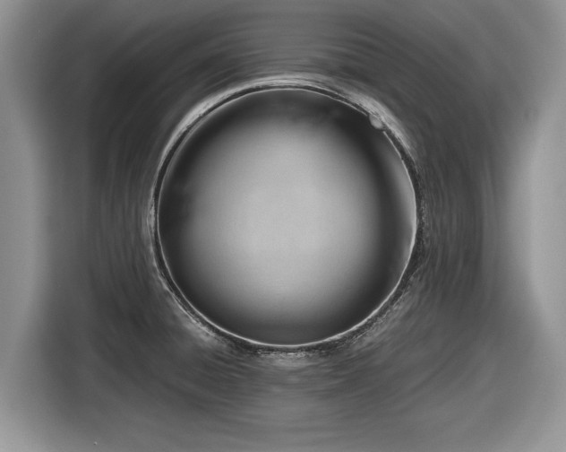 X0000116661428200912211458