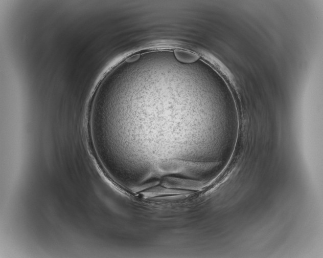 X0000116661429200912211458