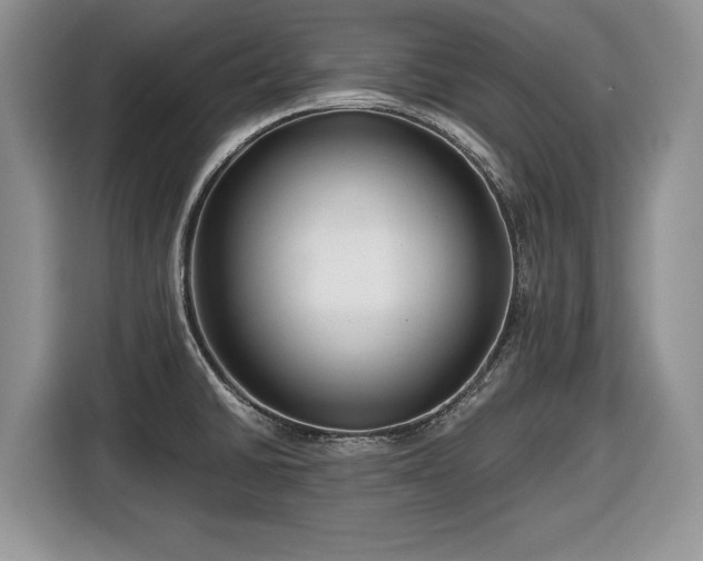 X0000116661430200912211458