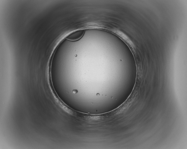 X0000116661431200912211458