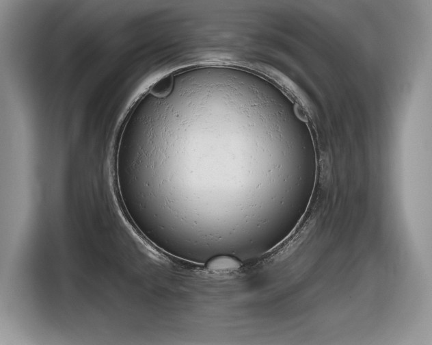 X0000116661432200912211458