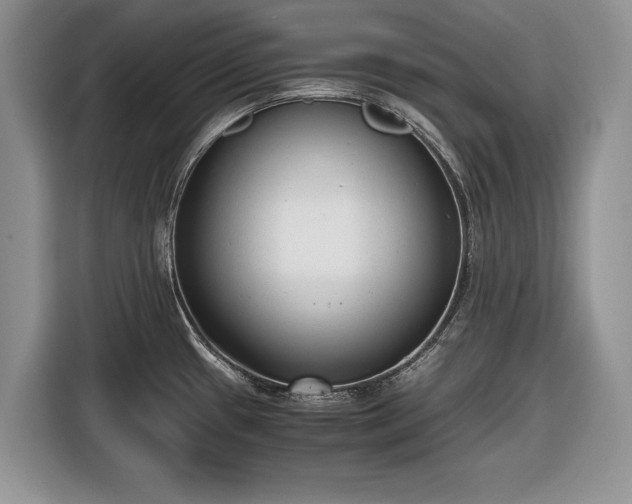 X0000116661433200912211458