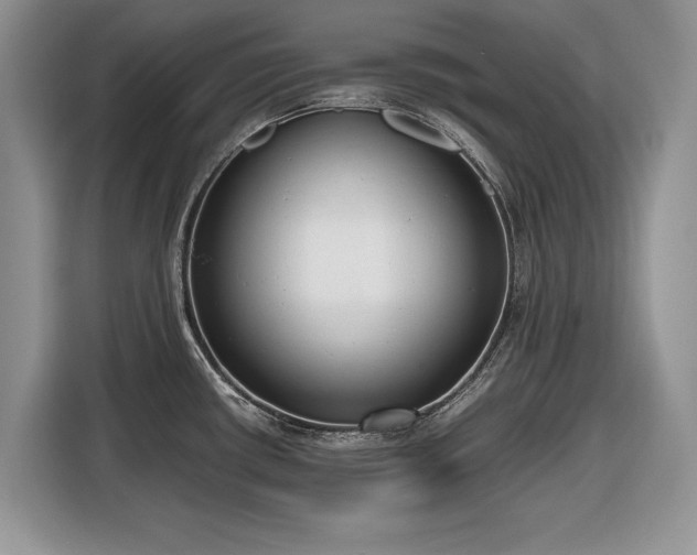 X0000116661434200912211458