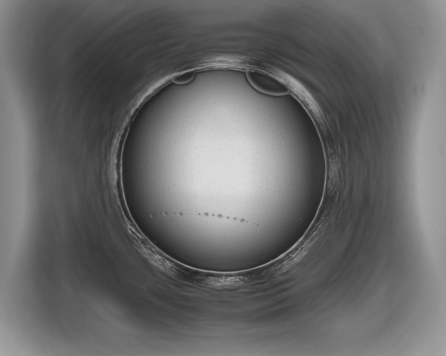 X0000116661435200912211458