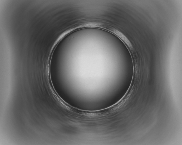 X0000116661436200912211458