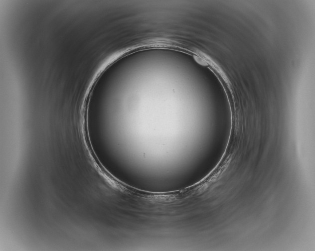 X0000116661437200912211458