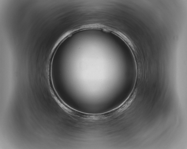 X0000116661438200912211458