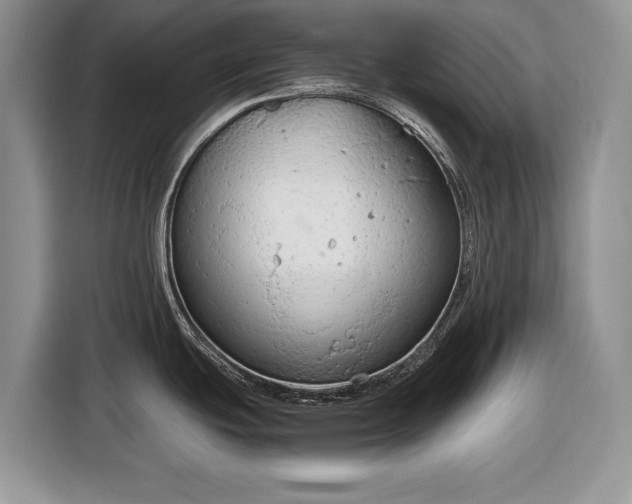 X0000116661439200912211458