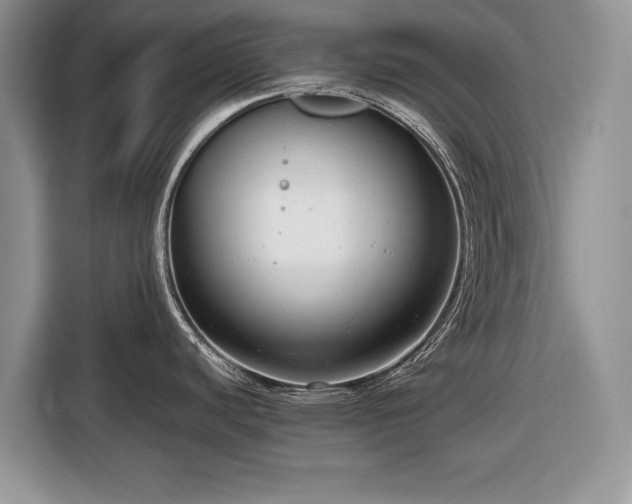 X0000116661440200912211458