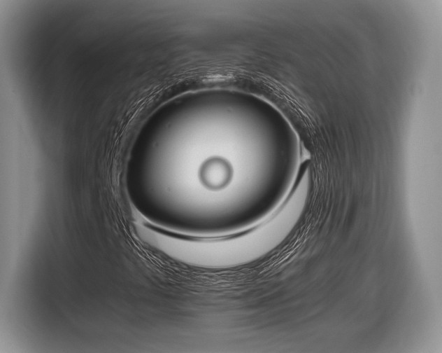 X0000116661441200912211458