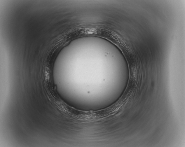 X0000116661442200912211458