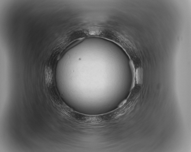 X0000116661443200912211458