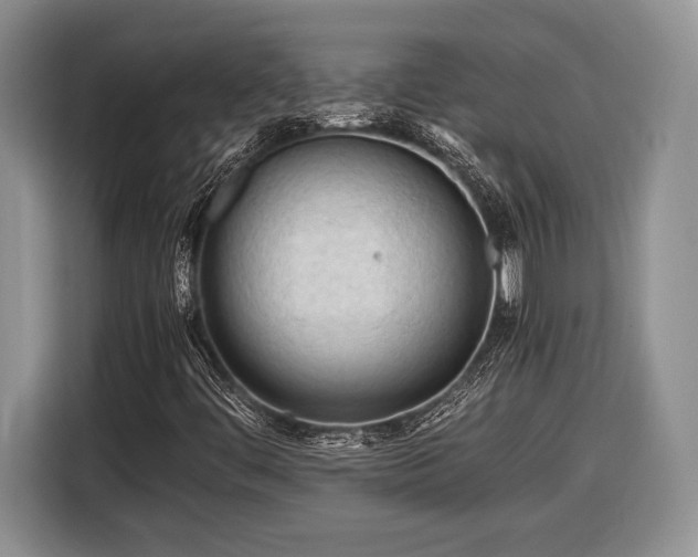 X0000116661444200912211458