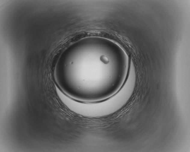 X0000116661445200912211458