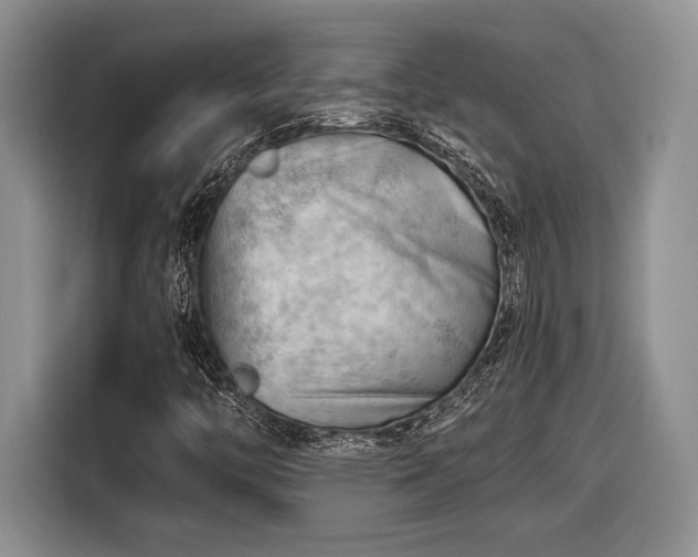 X0000116661446200912211458