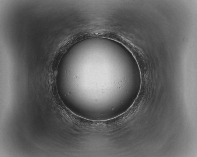 X0000116661447200912211458