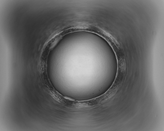 X0000116661448200912211458