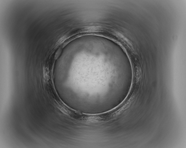 X0000116661449200912211458