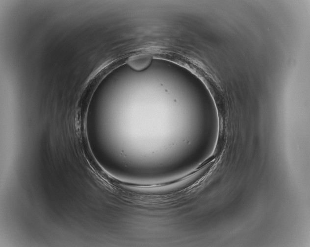 X0000116661450200912211458