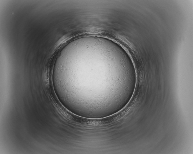 X0000116661451200912211458