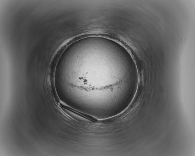 X0000116661452200912211458