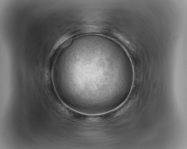 X0000116661453200912211458