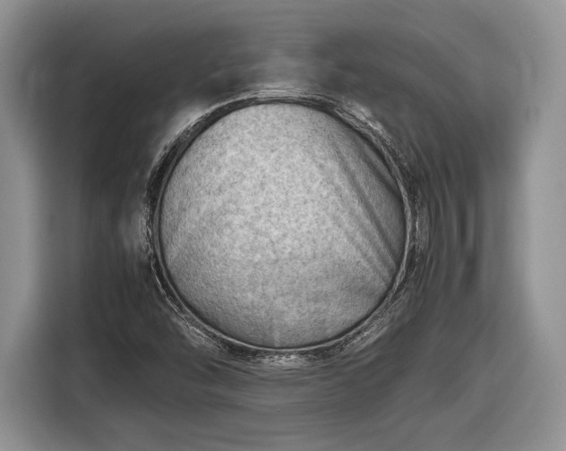 X0000116661454200912211458