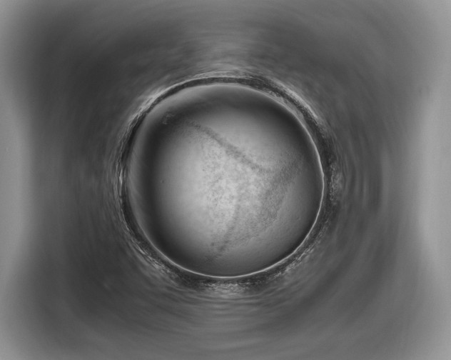 X0000116661455200912211458