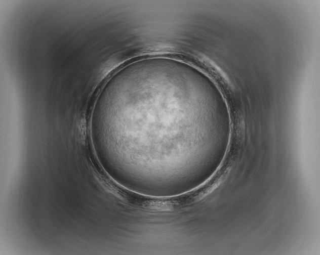 X0000116661457200912211458