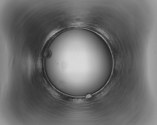 X0000116661458200912211458