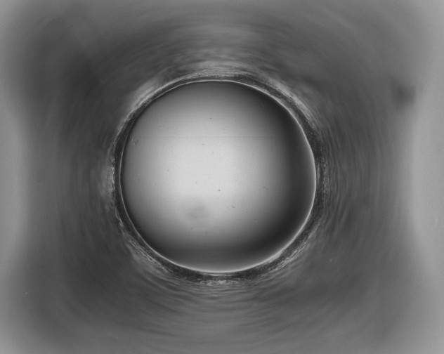 X0000116661459200912211458