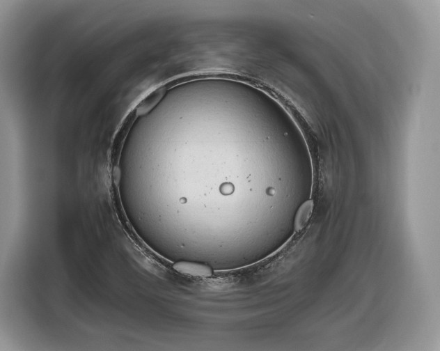 X0000116661460200912211458