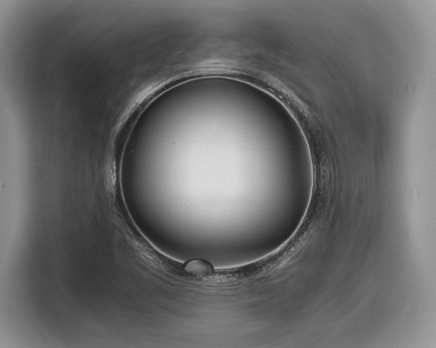 X0000116661461200912211458