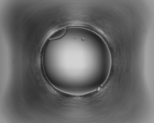 X0000116661463200912211458