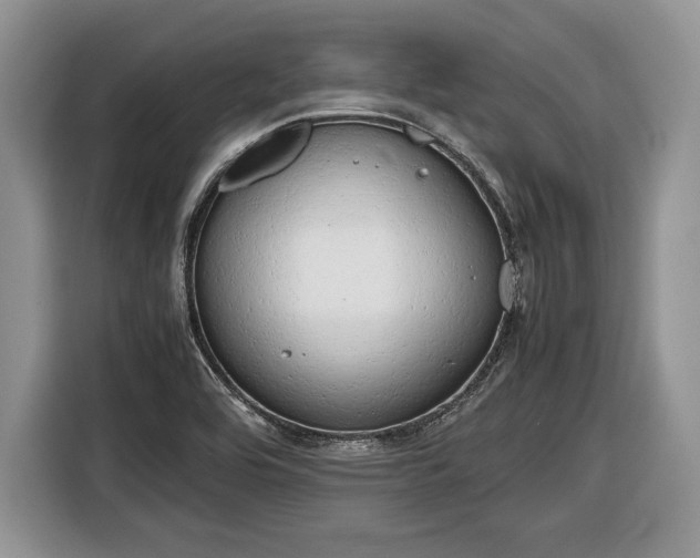 X0000116661464200912211458