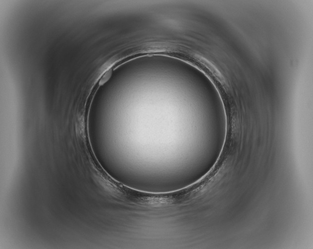 X0000116661465200912211458