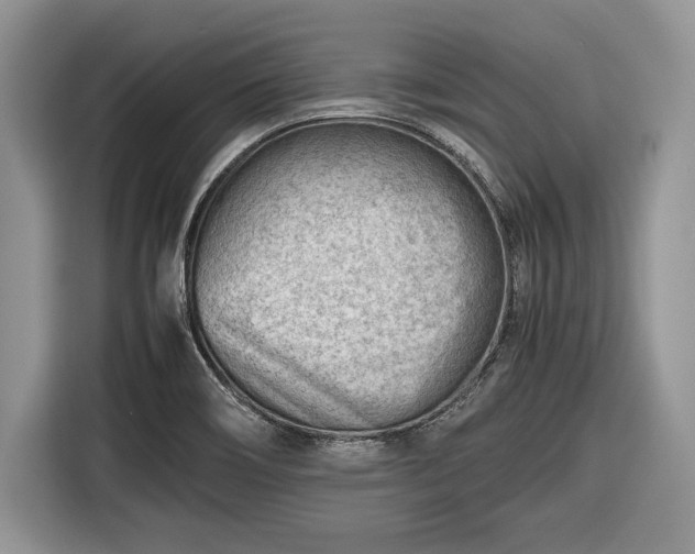 X0000116661466200912211458