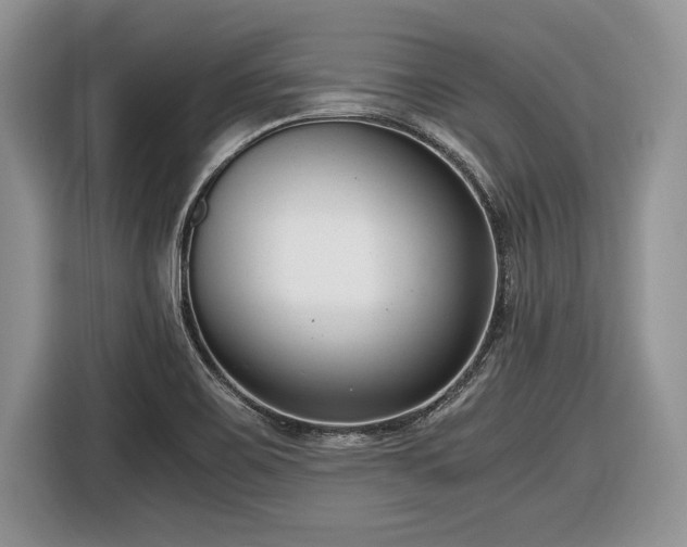 X0000116661467200912211457