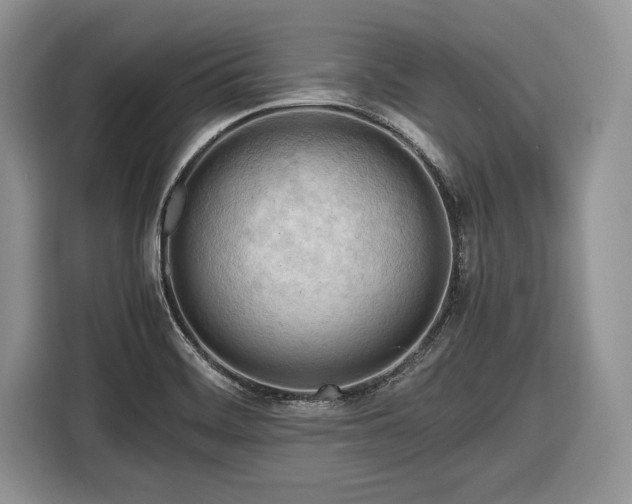 X0000116661468200912211457