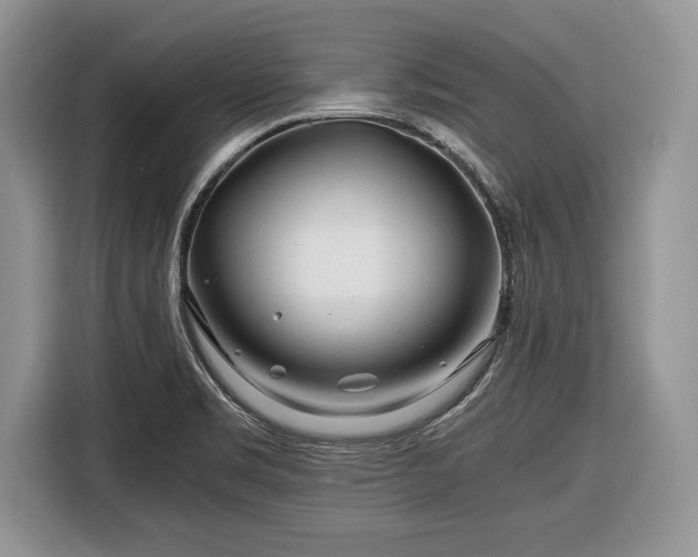 X0000116661469200912211457