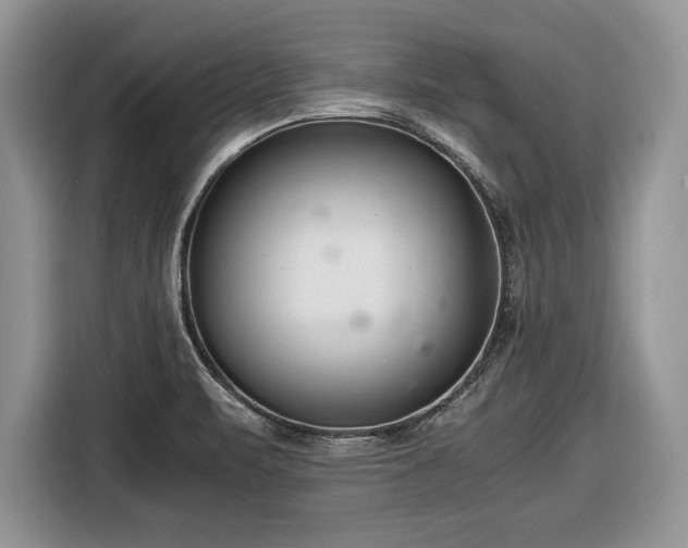 X0000116661471200912211457