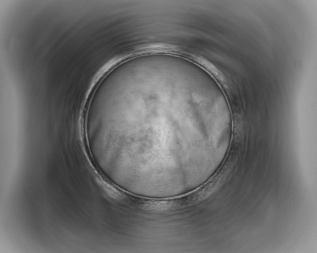 X0000116661474200912211457