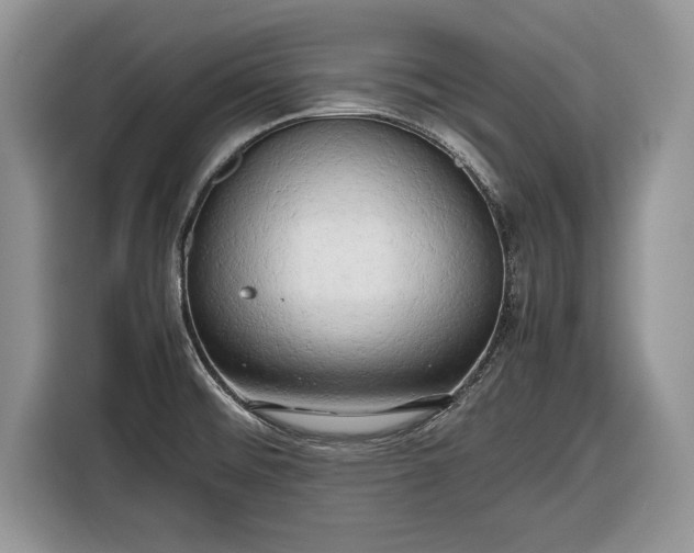 X0000116661476200912211457