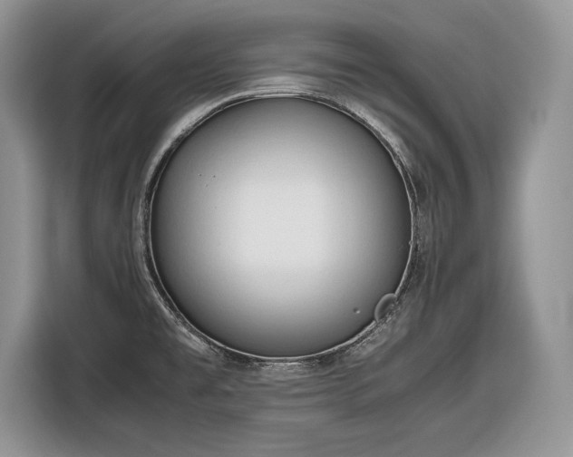 X0000116661477200912211457