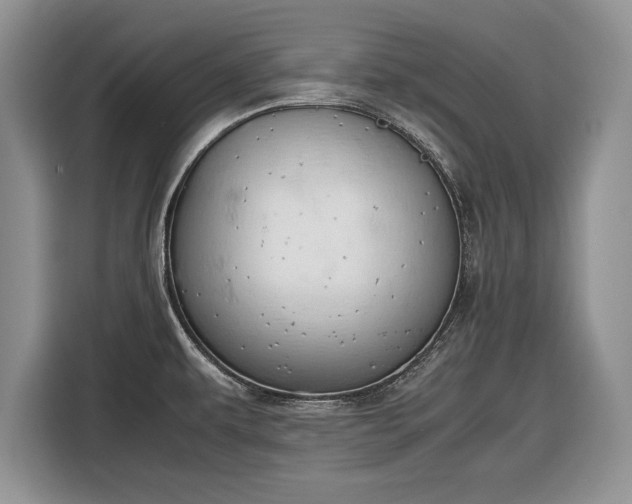 X0000116661479200912211457