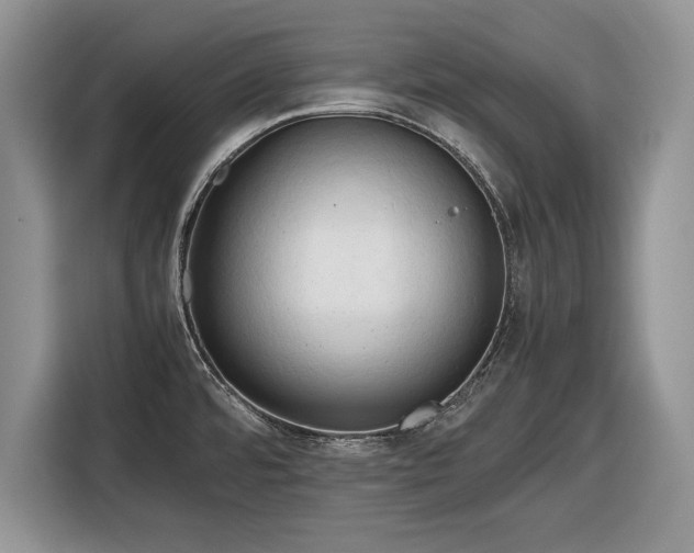 X0000116661480200912211457