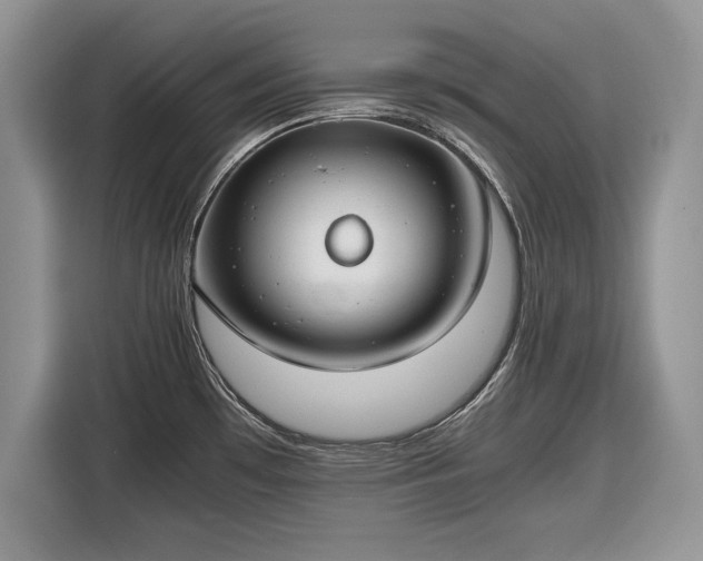 X0000116661481200912211457