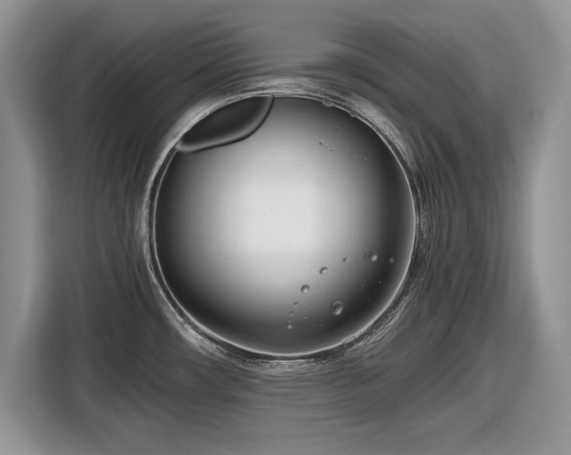 X0000116661482200912211457