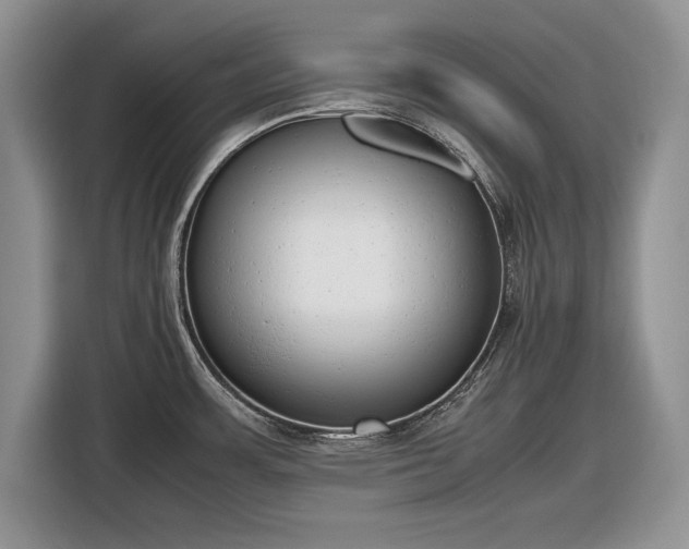 X0000116661483200912211457