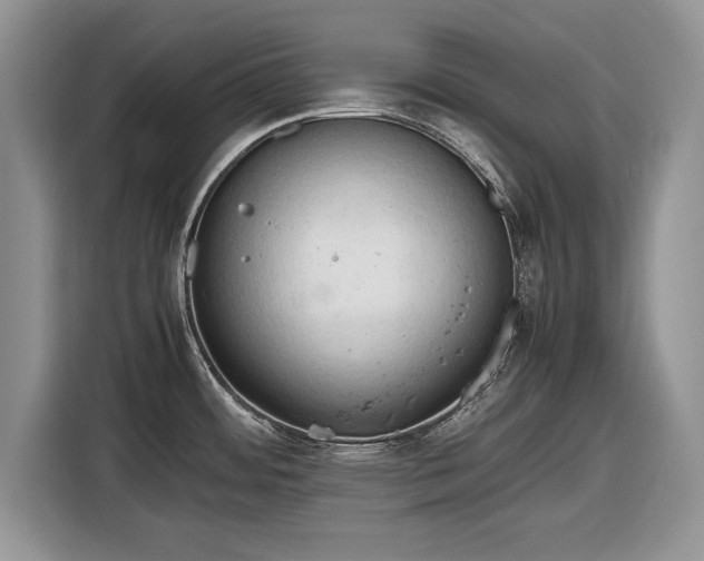 X0000116661484200912211457